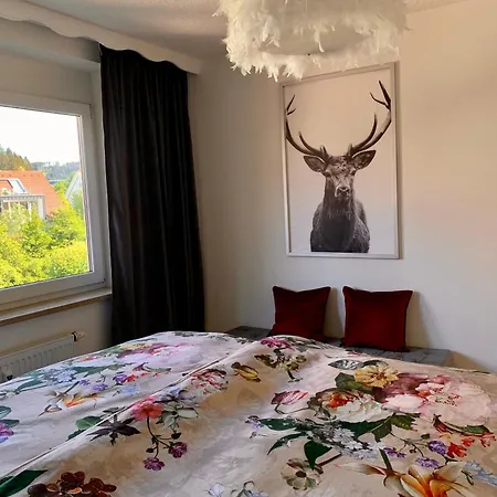 Homburger - Titisee-Neustadt